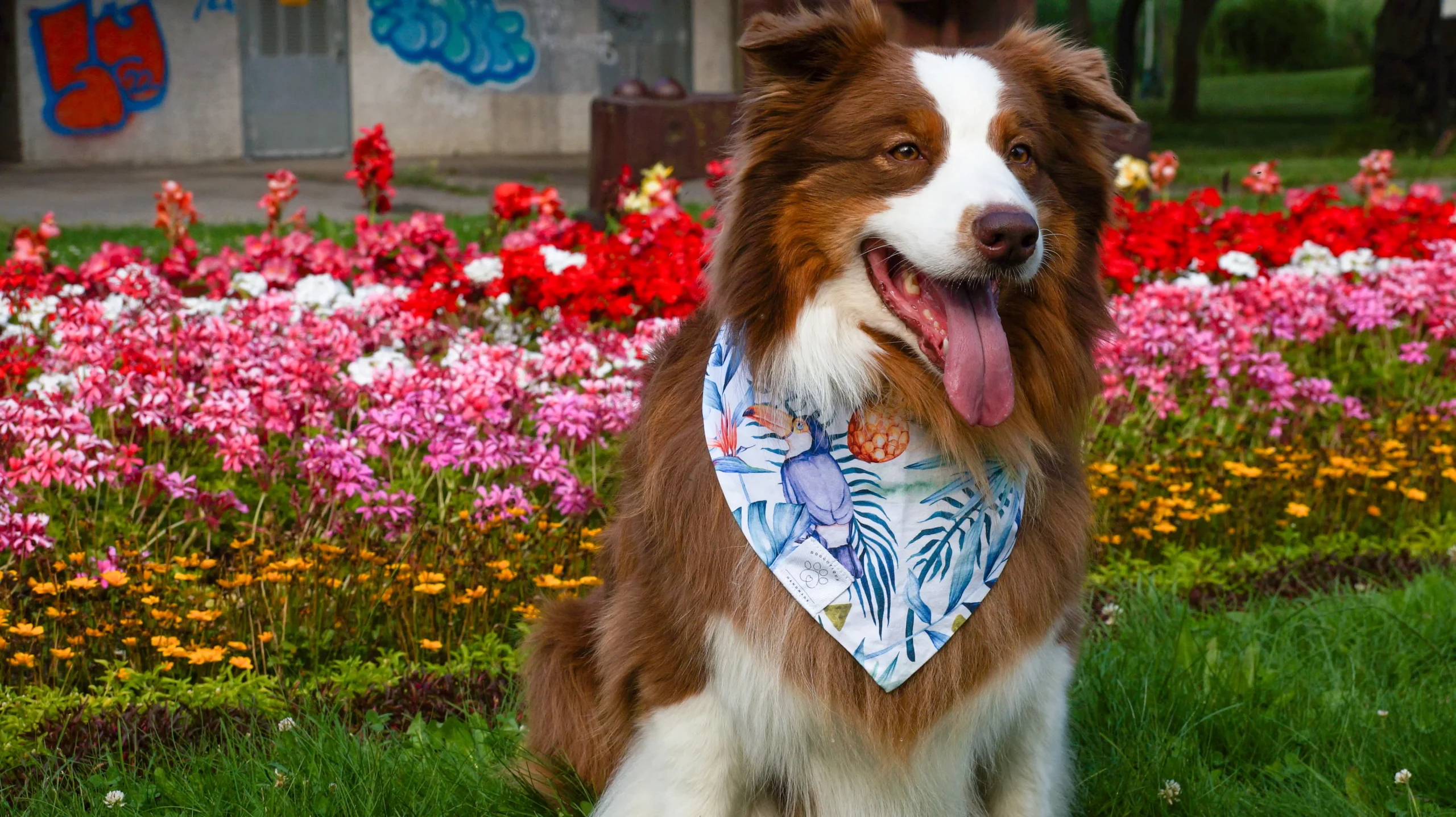 Hundehalstuch Summer 2