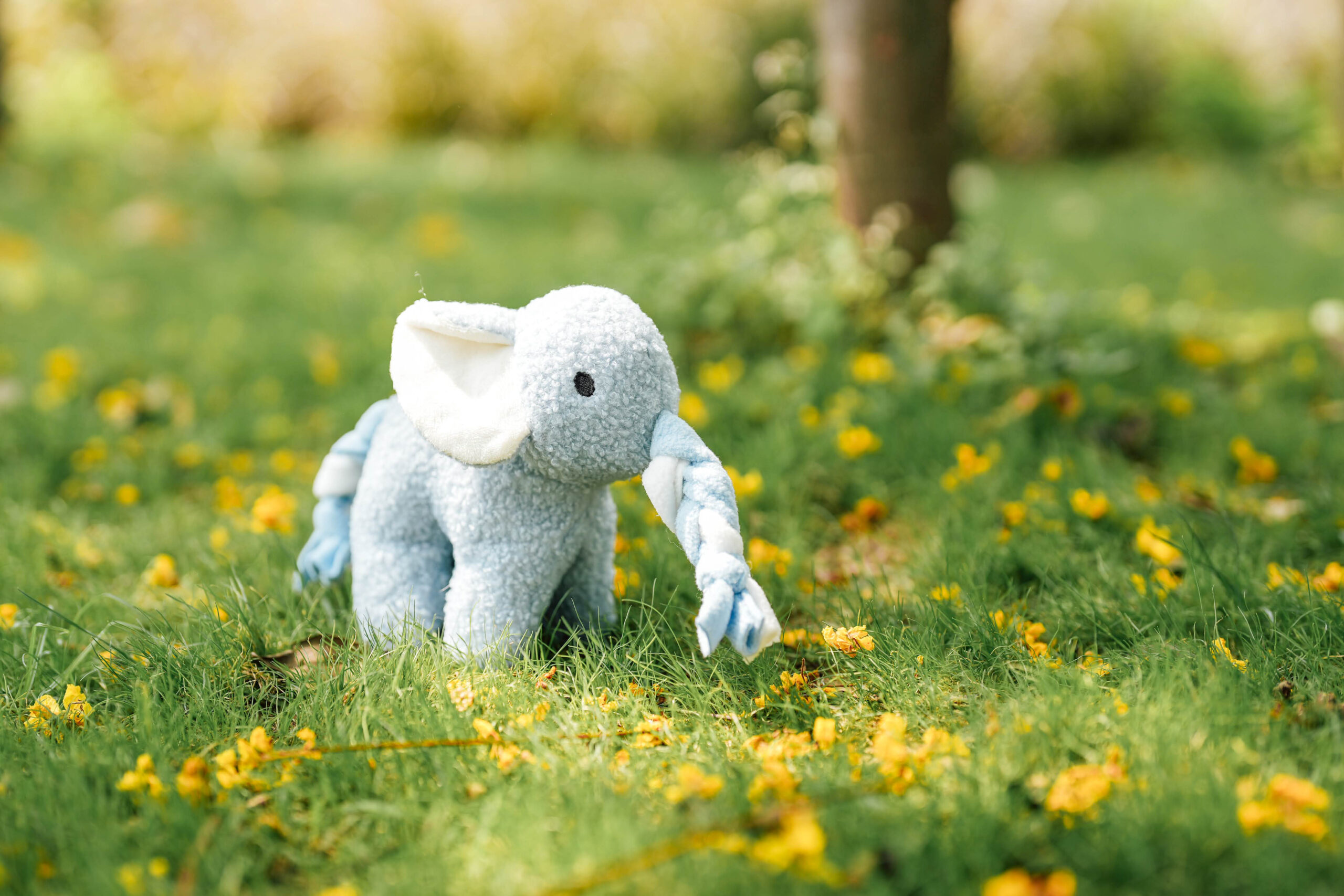 Aiko the Elephant Doggotique