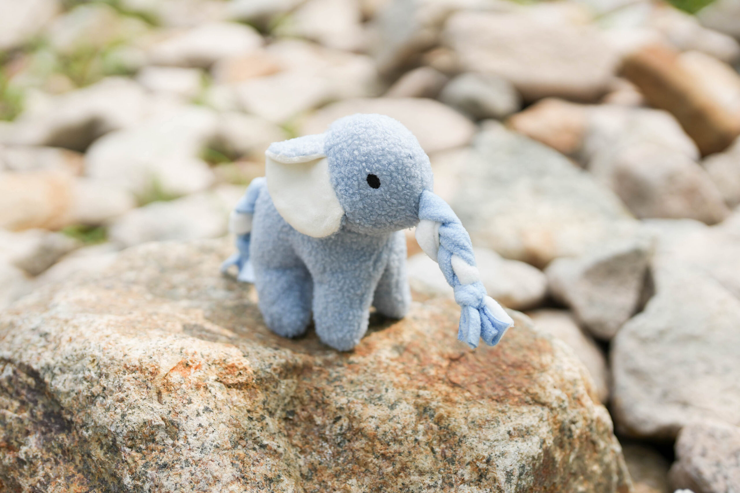 Aiko the Elephant Doggotique