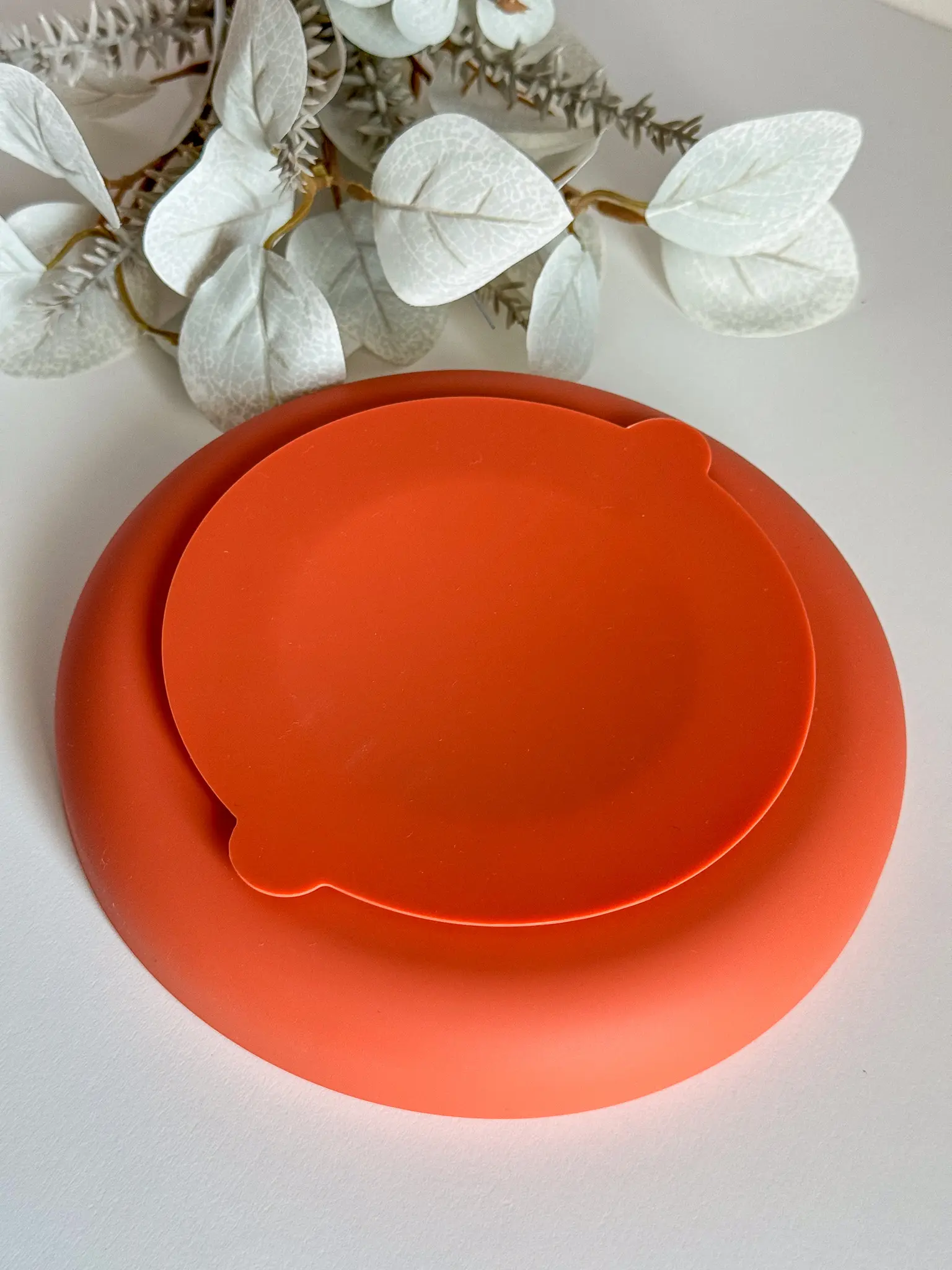 Slow Bowl Double Arch Saugknopf