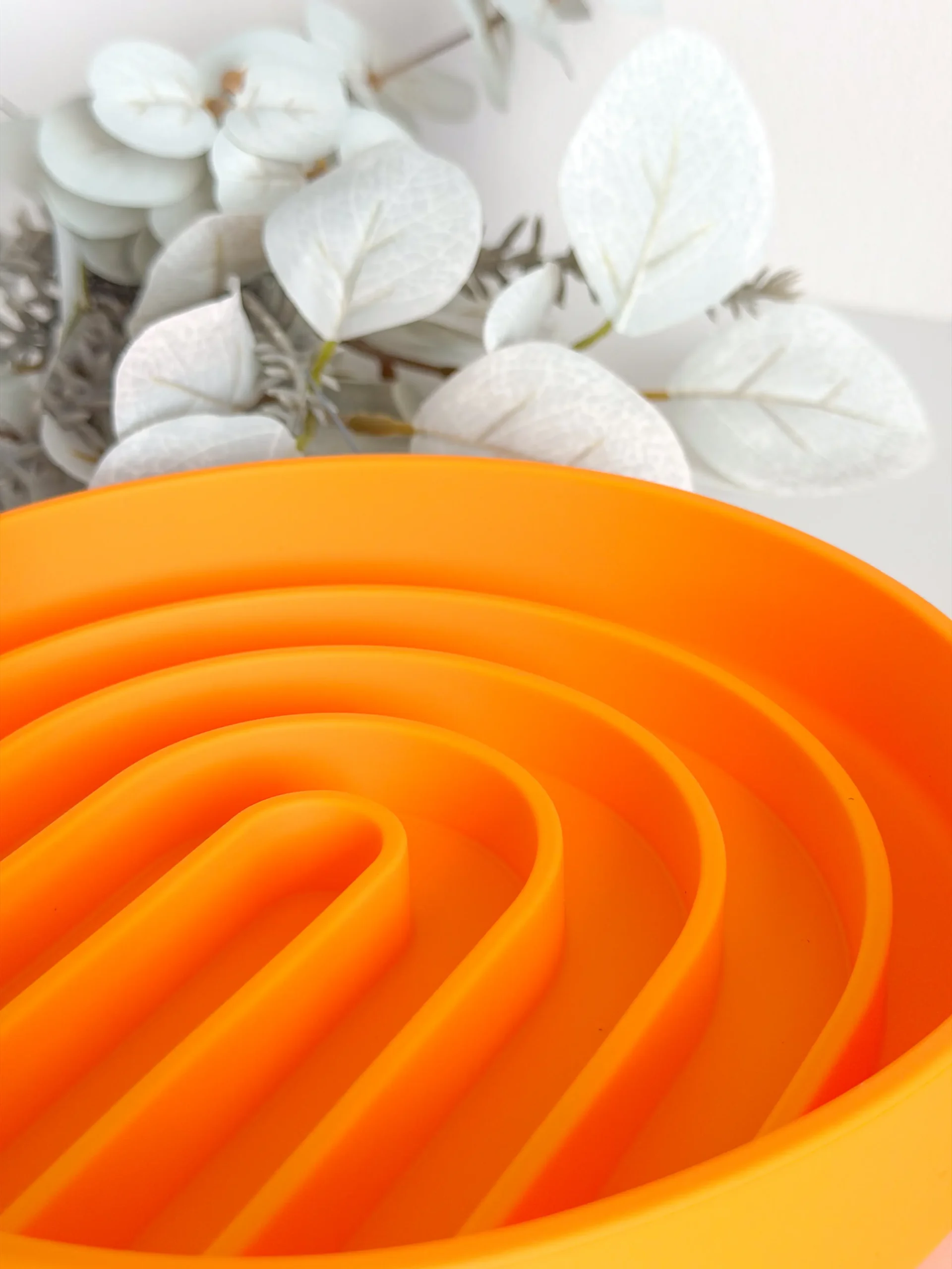 Slow Bowl Arch Pumpkin