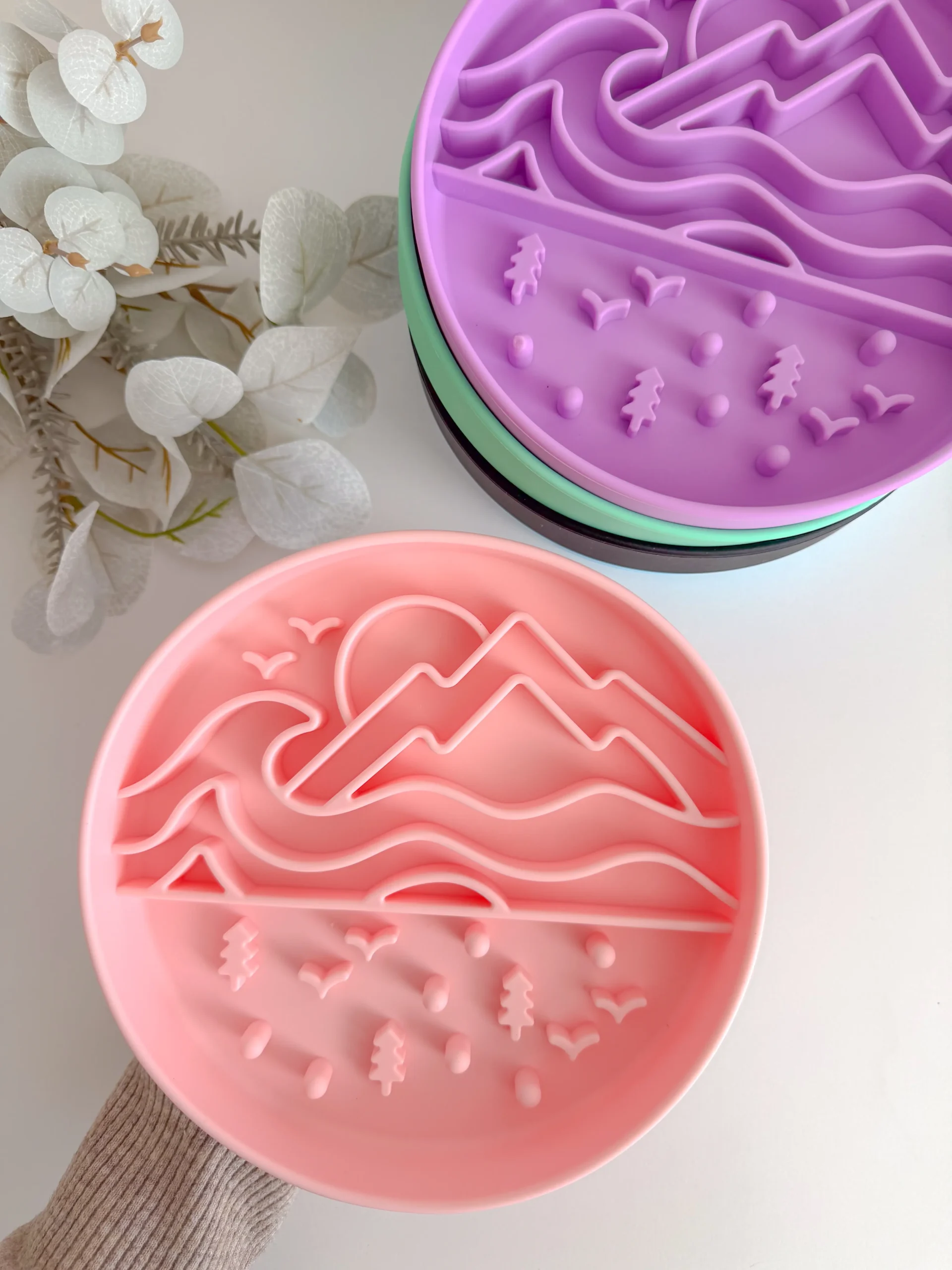 Slow Bowl Wild Horizon